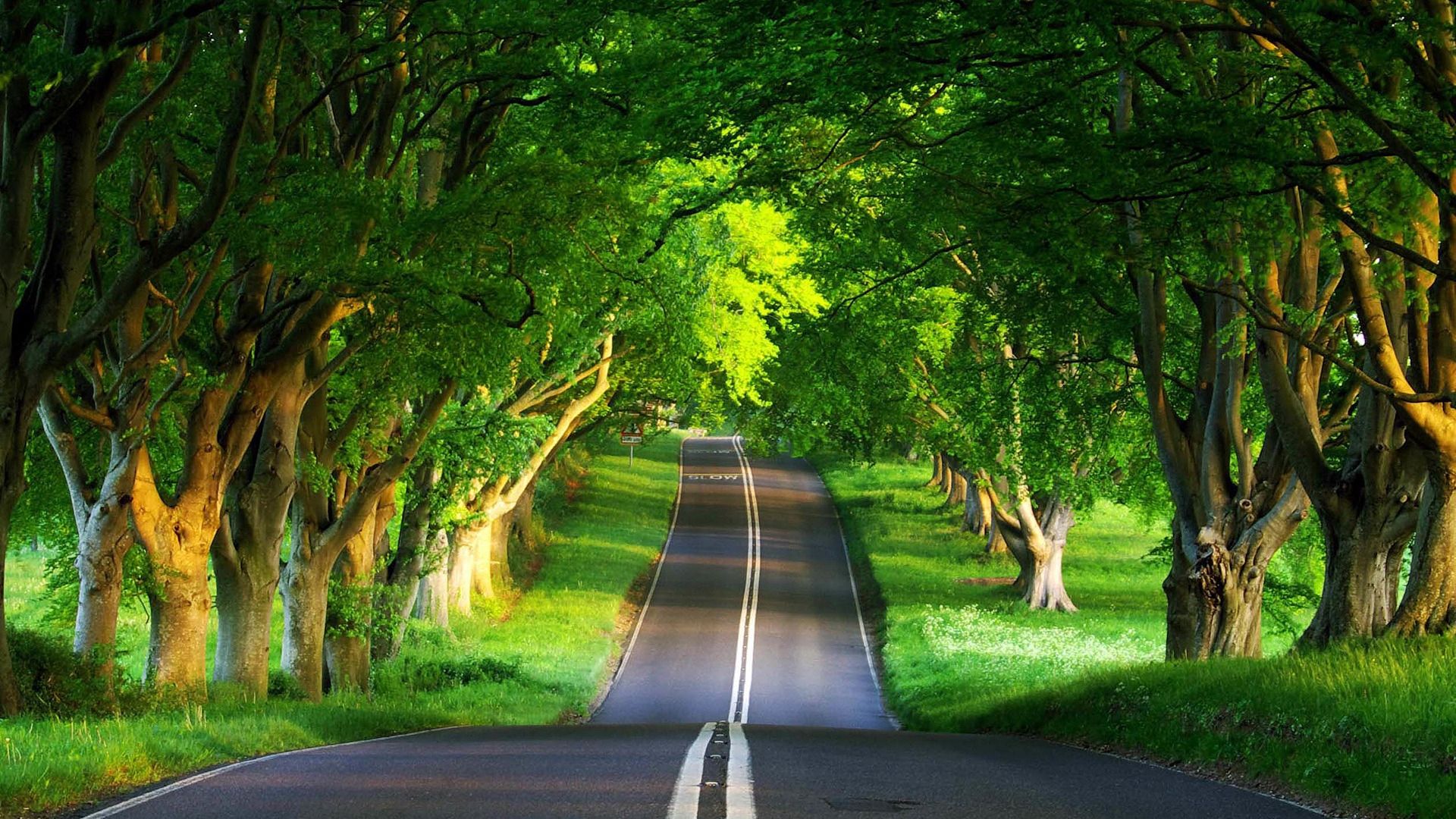 Nature is good